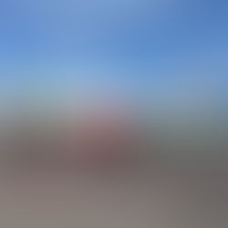 Viva Aerobus y Volaris trasladarán sin costo a clientes afectados por cierre de Aeromar