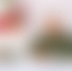 Coordinación entre Oaxaca y Puebla fortalece trabajos de procuración de justicia: Fiscal Rodríguez Alamilla