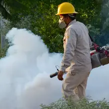 Insecticida aplicado en la lucha contra el dengue cumple con estándares de calidad: SSO