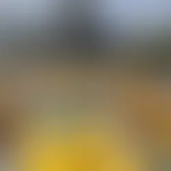 Veda por dos años para entrega de concesiones, anuncia Semovi