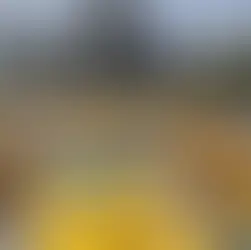 Veda por dos años para entrega de concesiones, anuncia Semovi