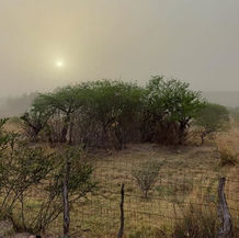 Este martes continuarán las altas temperaturas y tolvaneras en Oaxaca