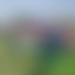 Trasladan vía aérea a paciente de la Costa a los Valles Centrales