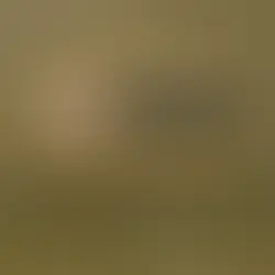 INE prevé 3 debates presidenciales y todos en la CDMX