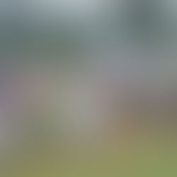 Ingobernabilidad en Oaxaca provoca retención de funcionario estatal y elementos de la GN