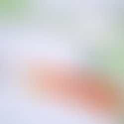 El mundo vive nueve meses consecutivos de récords de temperatura