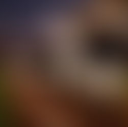 Guerreros culmina juegos de pretemporada en Oaxaca con victoria