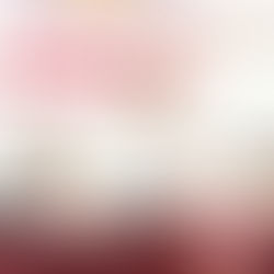 Canaliza gobierno de Salomón Jara Cruz inversión superior a los 12 mdp para Santa María Atzompa