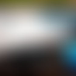 Siempre sí: el Gobierno comprará la marca Mexicana de Aviación para la aerolínea del Ejército