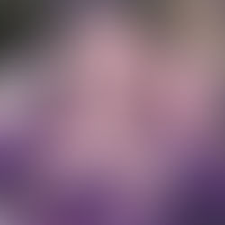 TEPJF entregará a Sheinbaum constancia de mayoría el 15 de agosto