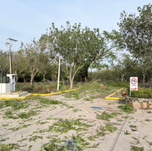 Fuerte tormenta en San Francisco Ixhuatán derriba 60 árboles y 22 postes