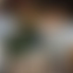 Puebla gana el segundo de la serie