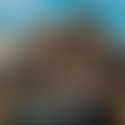 Pretemporada Bélica iniciará el 2 de marzo