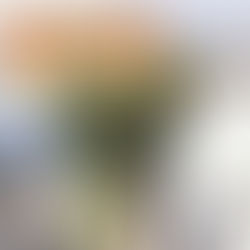 Aumenta percepción de inseguridad en Oaxaca de Juárez hasta el 72.9%: INEGI