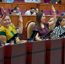 Incrementa Congreso penas para quien cometa maltrato y crueldad animal