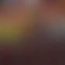 Incrementa Congreso penas para quien cometa maltrato y crueldad animal