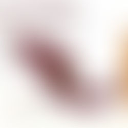 “Se cumple la voluntad de la ciudadanía”: AMLO sobre conformación del Congreso