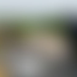 Cerrado el paso en la Carretera Federal 200 a la altura de Puente Mancuernas