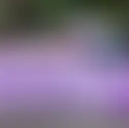 Oaxaca en "un momento crítico" al ser primer lugar en feminicidios a nivel nacional