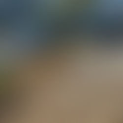 Confirma Semar 13 fallecidos y 36 hospitalizados por descarrilamiento