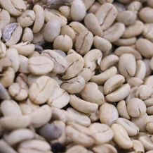 Anuncian la Convención del Café Oaxaqueño 2024