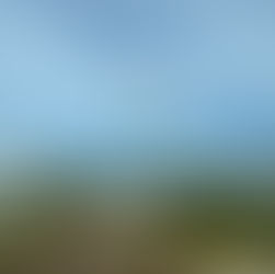 CFE desmiente que servicio eléctrico será restablecido en enero 2024