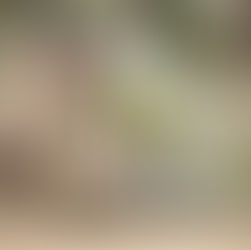 Guerrero no está solo, la ayuda continúa llegando: AMLO