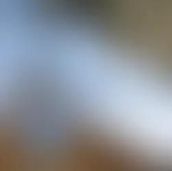 Acumula Oaxaca 626 casos de dengue en el año; 121 en una semana. Hay tres defunciones