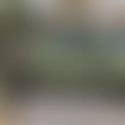 Ejército y Fiscalía de Puebla aseguran droga, 35 vehículos y 6 inmuebles en Teziutlán