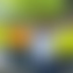 Nunca he solicitado cancelar eventos; hay exhortos para no descuidar El Llano: Haydeé Reyes