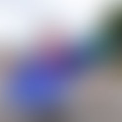 Oaxaca mostrará al mundo su riqueza cultural: Salomón Jara