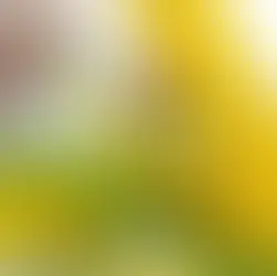 Canadá y EU se unen para obligar a los mexicanos a que se coman su maíz transgénico