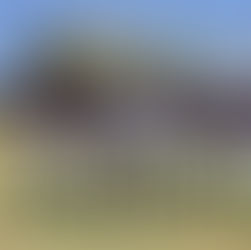 Harp Helú asistió al campo de prácticas de Guerreros de Oaxaca