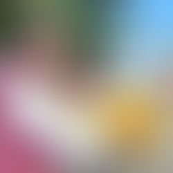 Labor conjunta permite mejorar aspecto y seguridad en el Parque del Amor