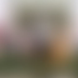 Asiste Grupo Parlamentario de Morena al Segundo Informe Trimestral del gobernador de Oaxaca