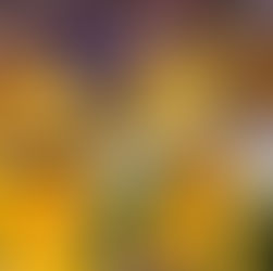 Tigres remonta diferencia de dos goles y gana a Chivas 2-3 a domicilio y en tiempo extra