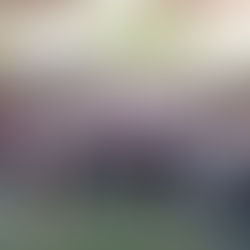 Llegan a San Miguel Yotao mejoras en educación, vivienda y caminos