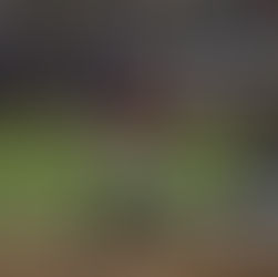 Guerreros gana el primer juego de la serie en Querétaro