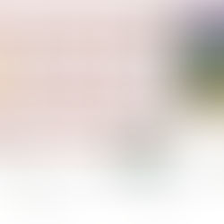 “Megapuente” de marzo 2024: viernes 15 y lunes 18 no hay clases