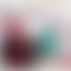 Determinante el impulso de la herencia gastrónomica para nuevas generaciones: Haydeé Reyes