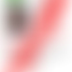 Encuentran en Tamaulipas a menores oaxaqueños desaparecidos