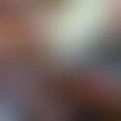 Aprueba Congreso la Ley de la Universidad Autónoma Comunal de Oaxaca