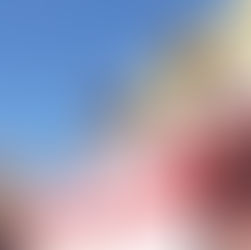 Registra SSO 255 casos nuevos de dengue