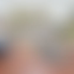 Van por Declaratoria de Desastre 65 municipios de Oaxaca afectados por el huracán "John"