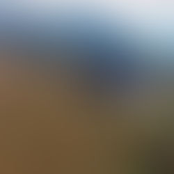 Homicidio de Síndico de Itunyoso y dos familiares moviliza a corporaciones estatales y federales