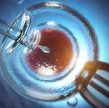 Prohíben al padre de cientos de niños que siga donando esperma