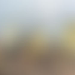 Reportan el control de incendio en paraje de Cuilapam