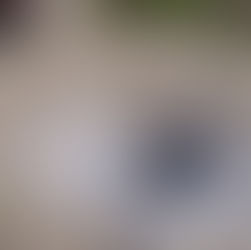 Muerte de aves en las costas de Oaxaca fue por inanición: Umar