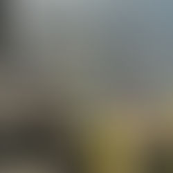 133 muertos en el ataque terrorista al Crocus City Hall en Moscú