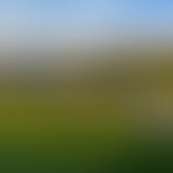 Campo de golf en polígono de Fonatur, en posesión ilegal: Gobierno de Oaxaca